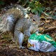Image for article titled 12 Delicious Photos Of Your Snacks